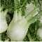 Fenchel